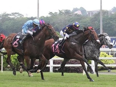 Lim's Lightning gives Meagher first G.1 win in Lion City Cup Image 2